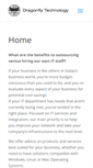 Mobile Screenshot of dragonflynw.com
